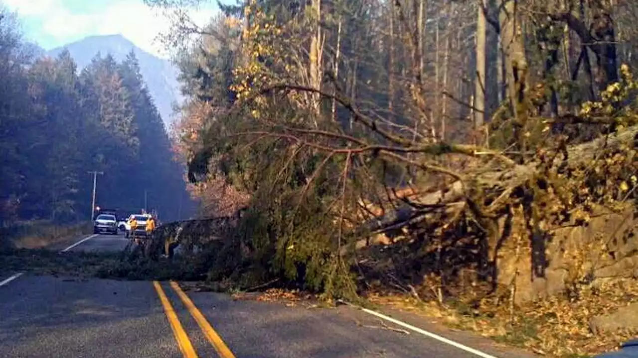 Bolt Creek Fire again forcing closure of Highway 2