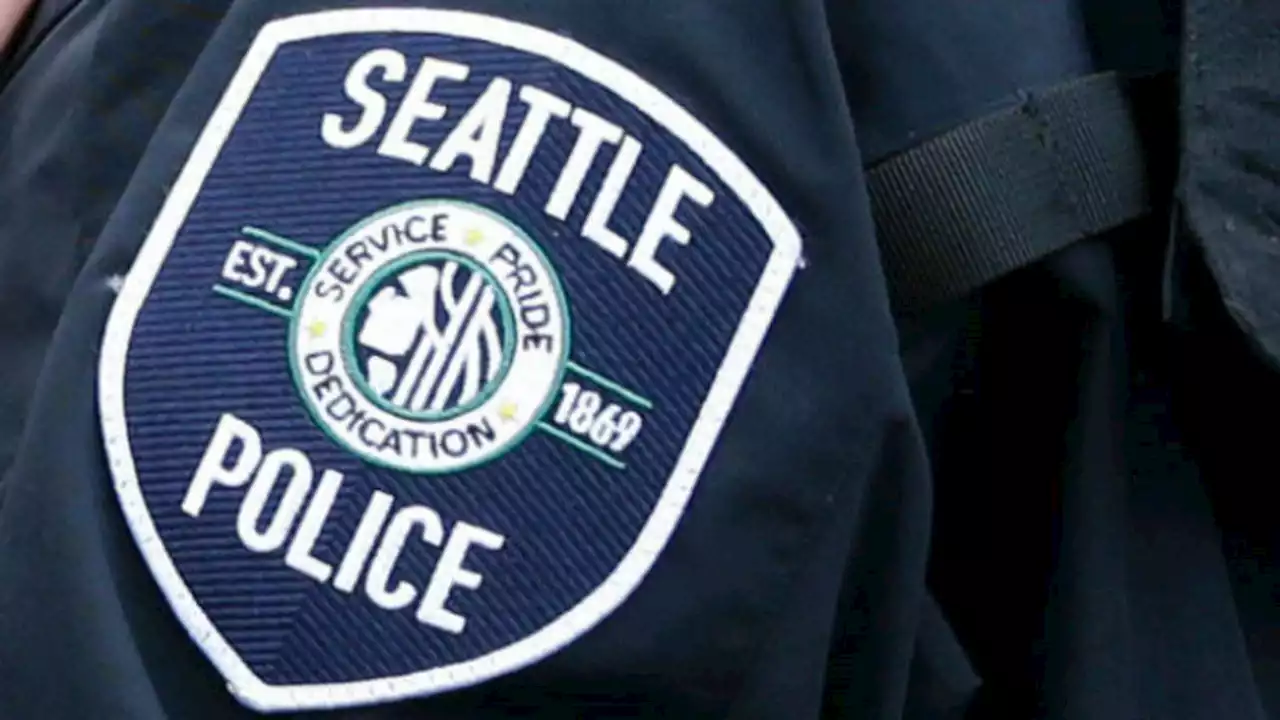 Seattle police officer fired over ‘derogatory and entirely unacceptable’ social media posts