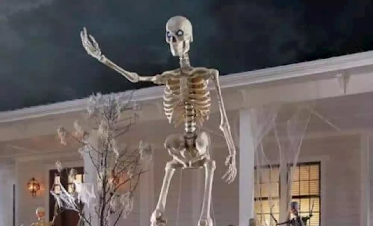 How Skelly the 12-foot Home Depot skeleton become a breakout Halloween hit