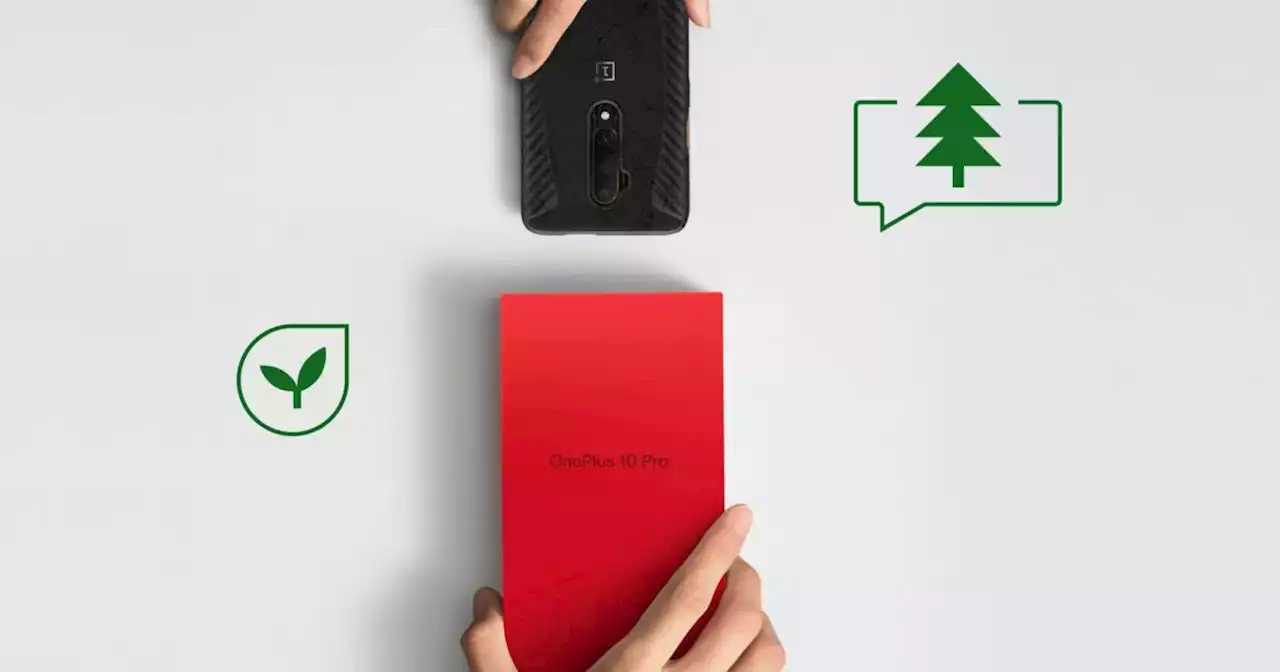 Un arbre planté pour un téléphone échangé, la solution de OnePlus pour sauver la planète