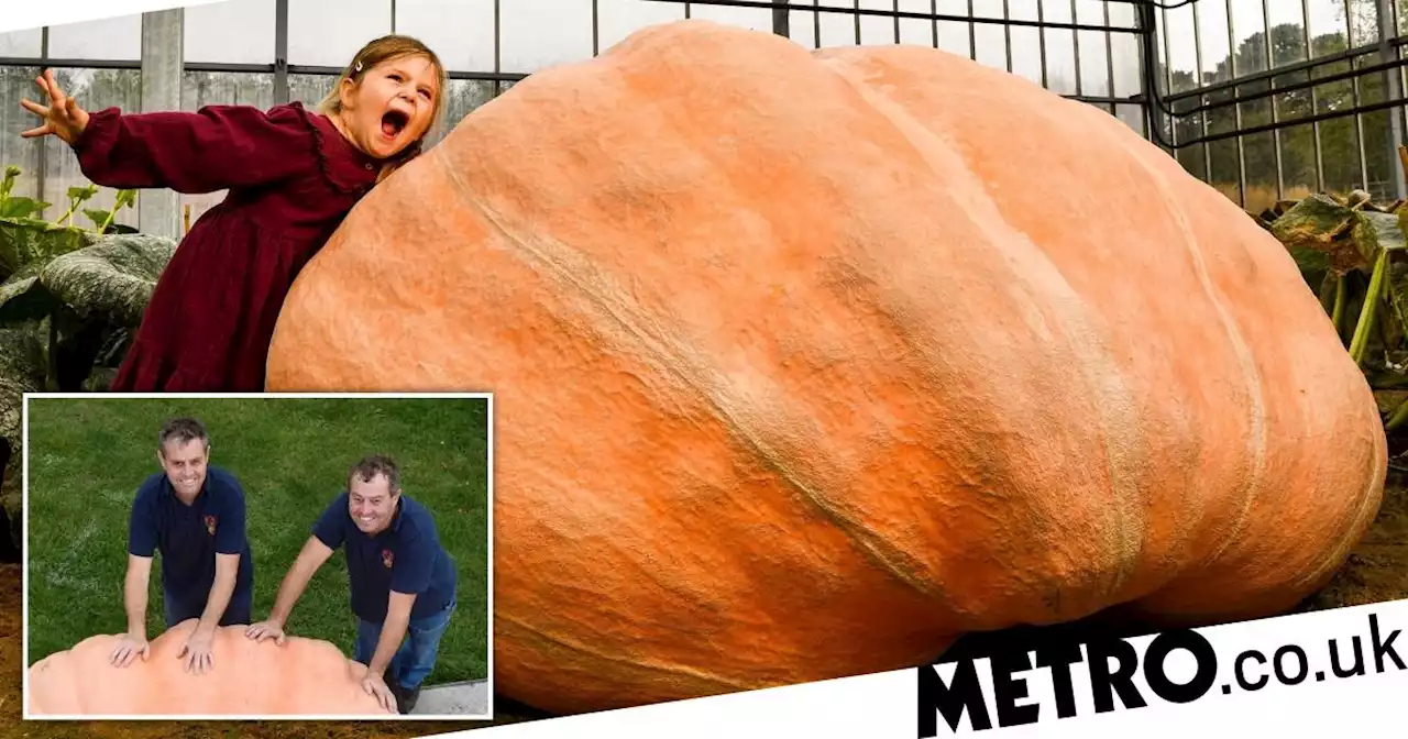 Monster 1,204kg pumpkin the 'size of a Fiat 500' breaks record