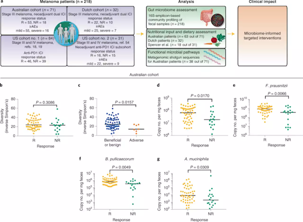 Diet-driven microbial ecology underpins associations between cancer immunotherapy outcomes and the gut microbiome - Nature Medicine