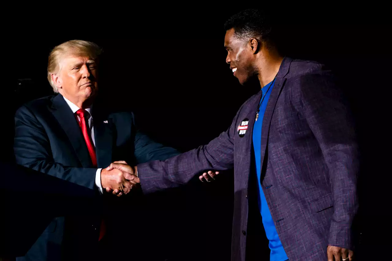 Trump and GOP Defend Herschel Walker After Abortion Accusation Rocks Georgia Senate Race