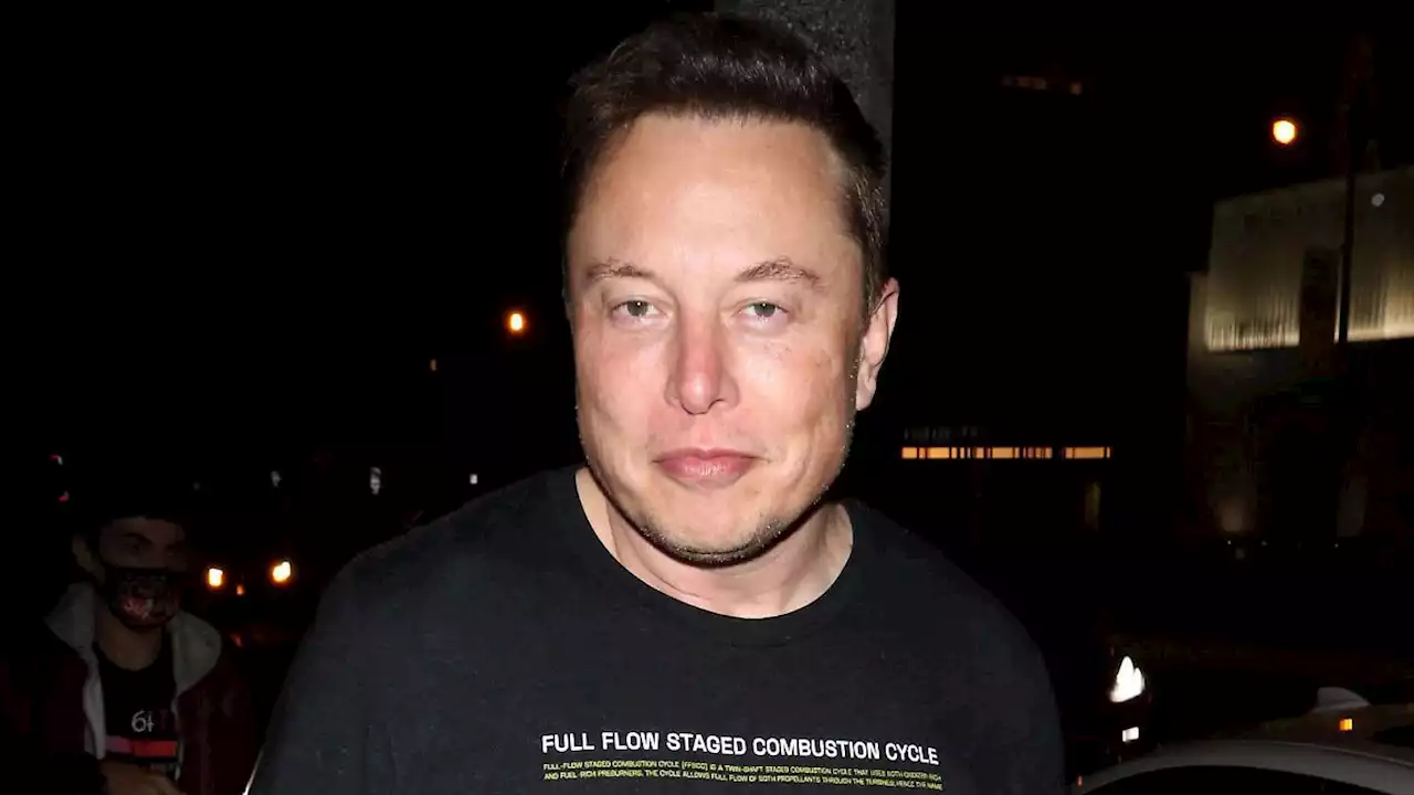 Musk will Twitter jetzt doch haben