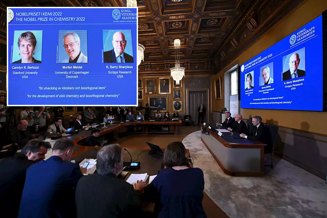 Nobel chemistry prize awarded to 3 for attaching molecules