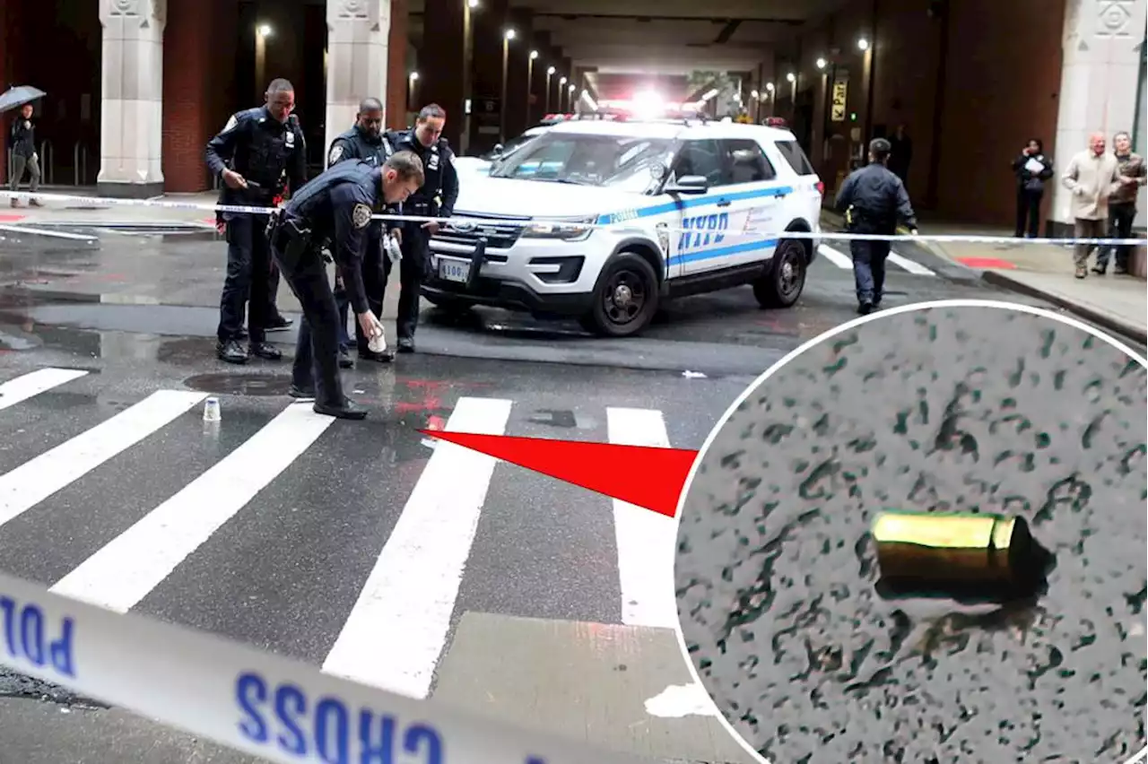 NYU students urged to ‘run, hide or fight’ as shots ring out near Brooklyn campus