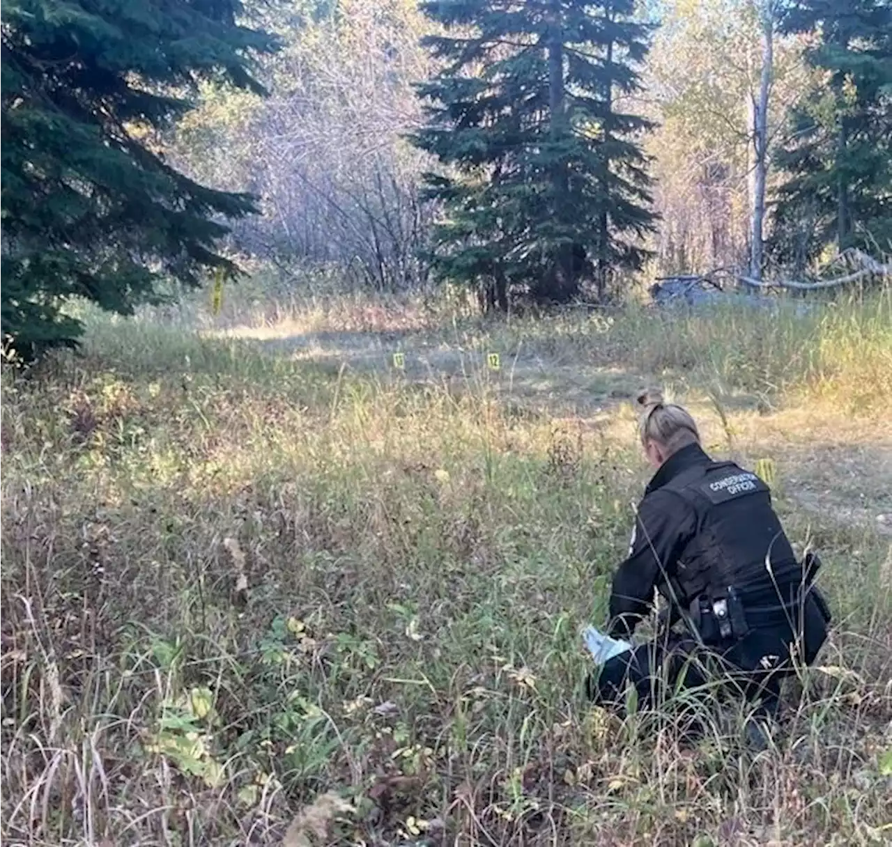 Bear attacks family in B.C., then guards two gravely injured women from rescue: RCMP