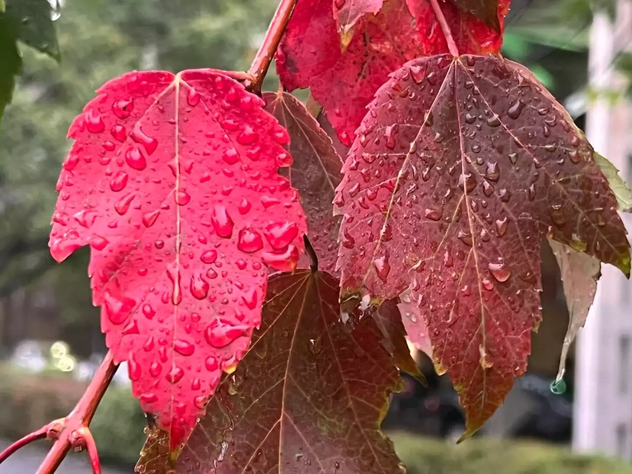 PM Update: After coolest Oct. 4 on record, conditions set to improve