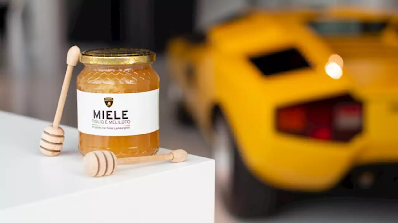 Lamborghini Makes a Honey That’s Harder to Get Than a Huracán Sterrato