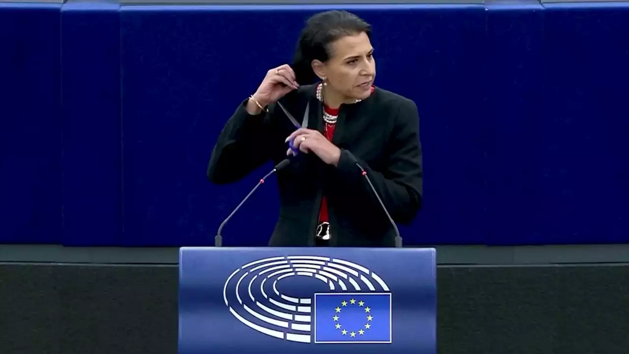 Swedish MEP cuts her hair during EU parliament speech in solidarity with Iranian women after Mahsa Amini death