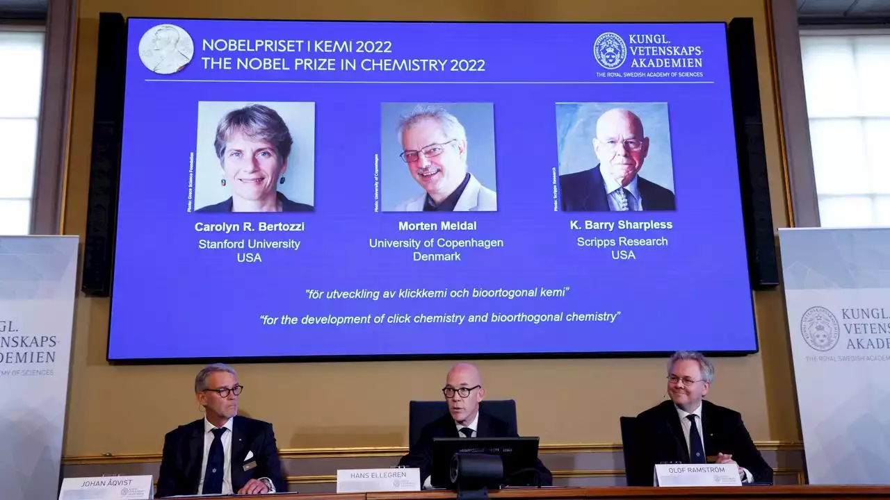 Nobel Prize for 3 chemists who made molecules 'click'