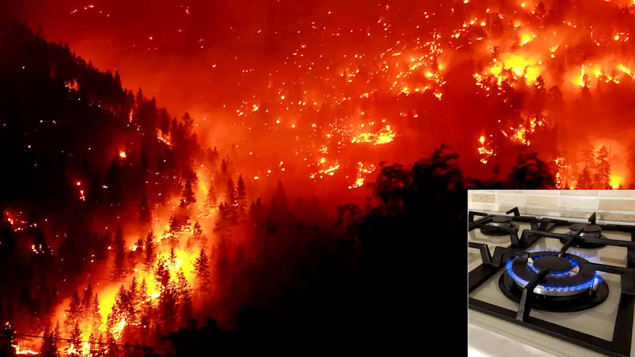 Raging Wildfire Disgusted By Kitchen Stove Flame’s Subservience To Humans