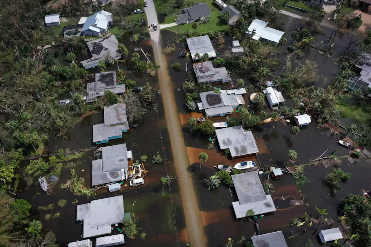 Migrants Lead Florida's post-Ian Clean-up, Despite DeSantis