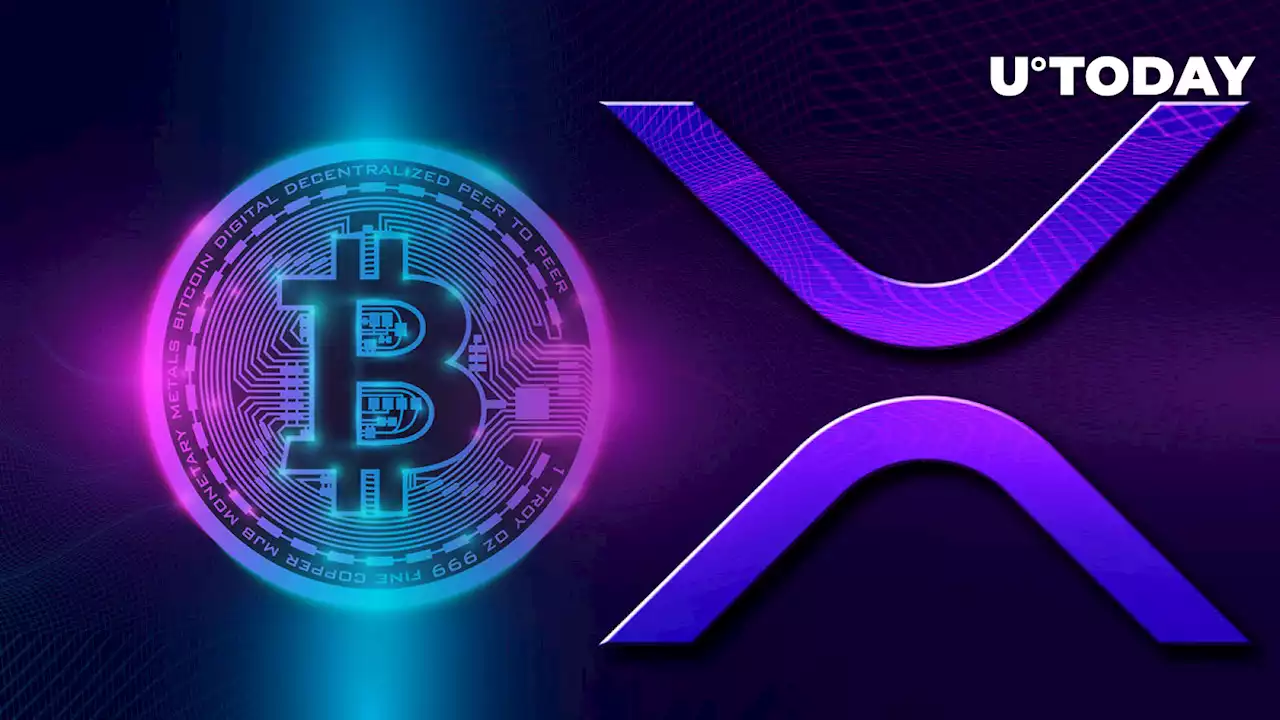 XRP Price Demonstrates Extremely Interesting Action Against Bitcoin During Current Drop