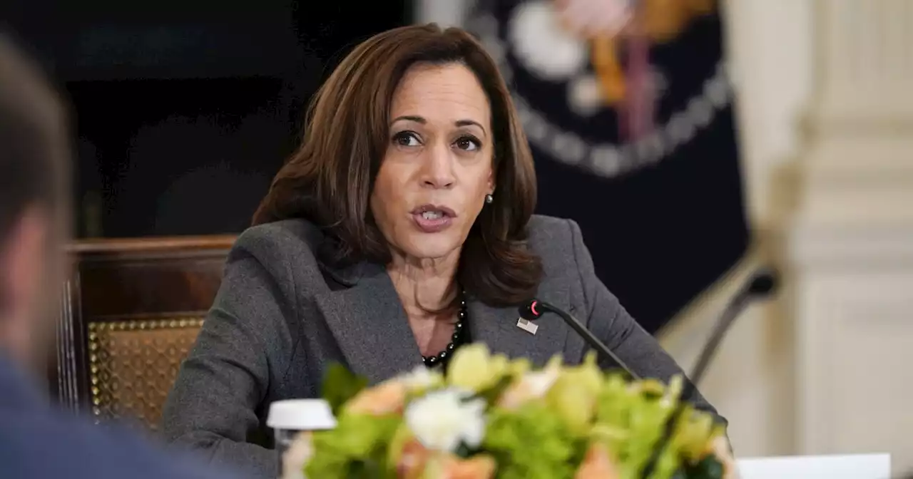 Vice President Kamala Harris' motorcade involved in crash