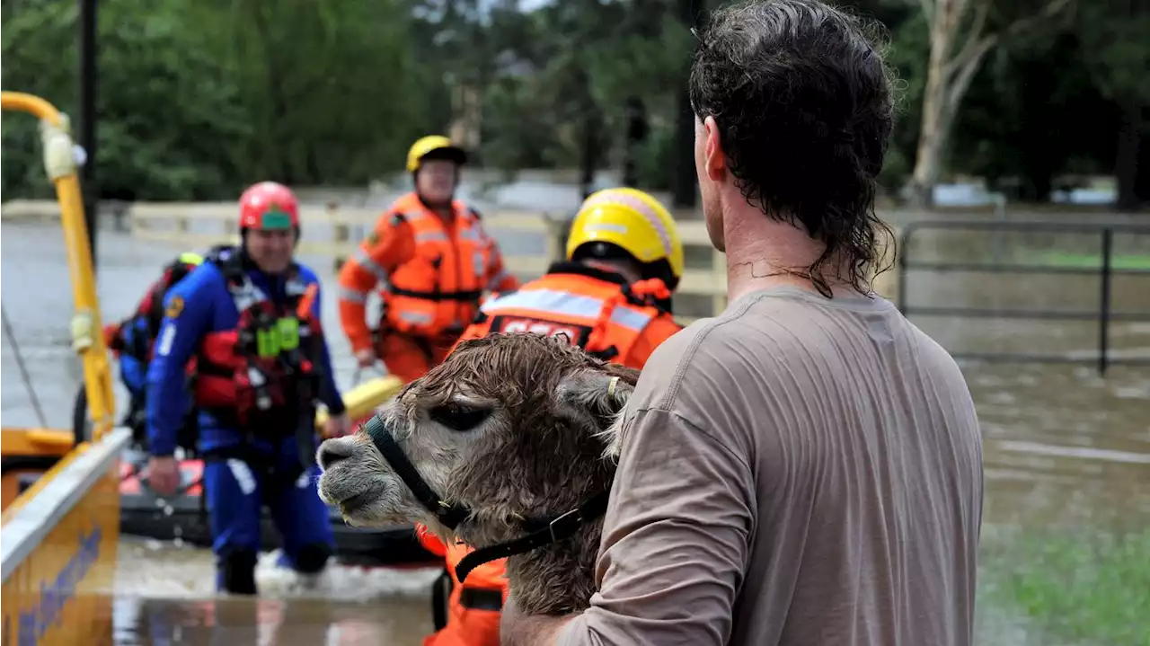 Sydney smashes rainfall records as eastern Australia braces for floods