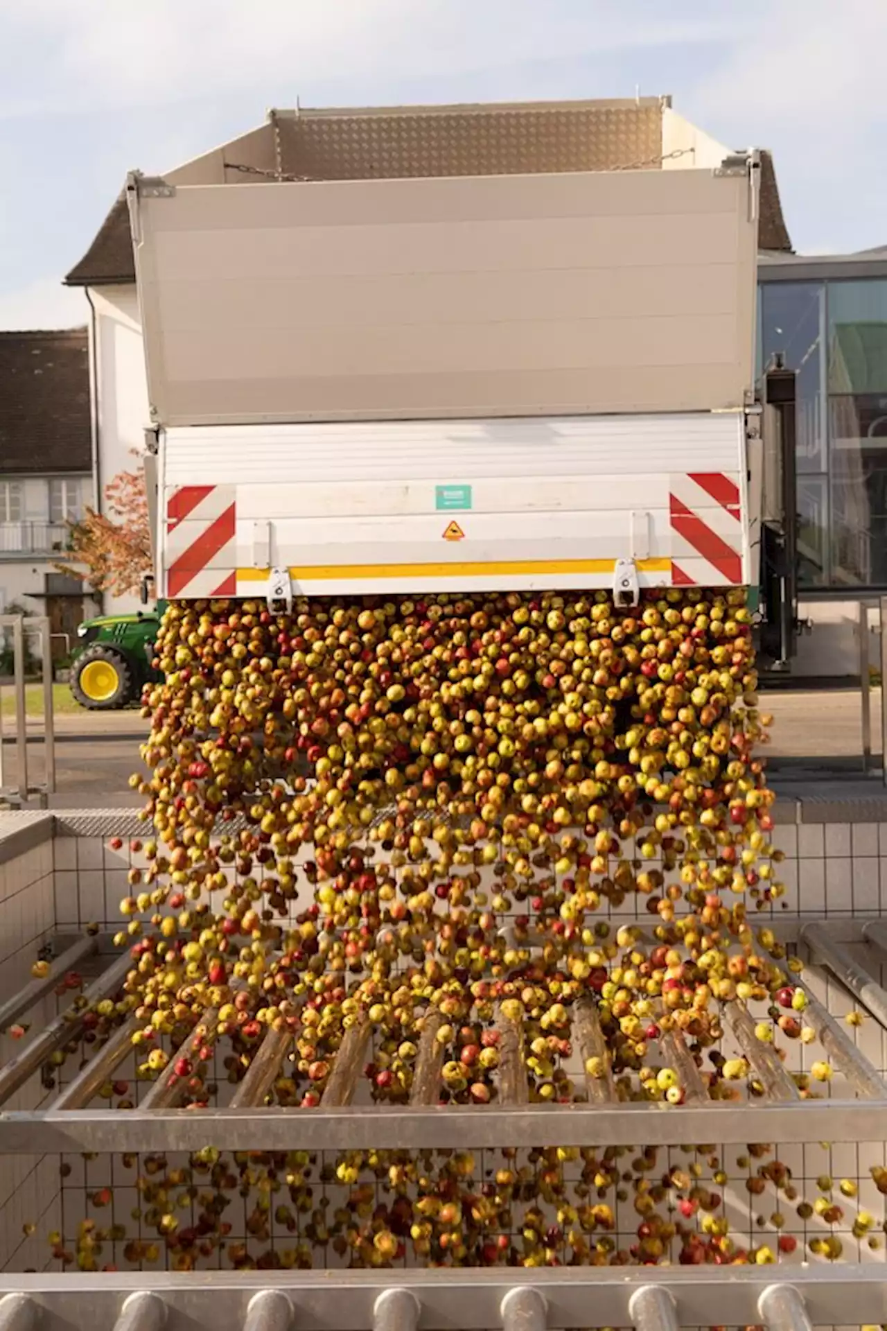 Der Schweizer Obstverband erwartet eine durchschnittliche Mostobsternte - bauernzeitung.ch