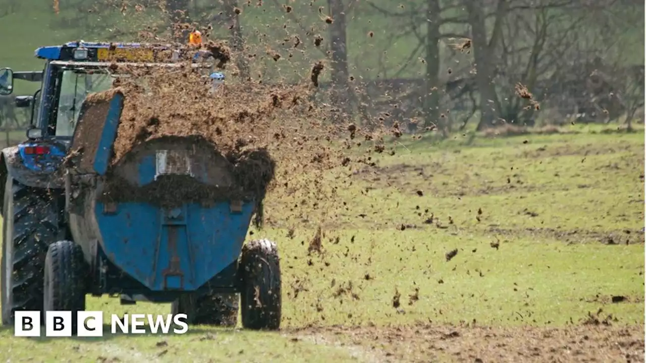 Farming: New Welsh rules on reducing river pollution delayed