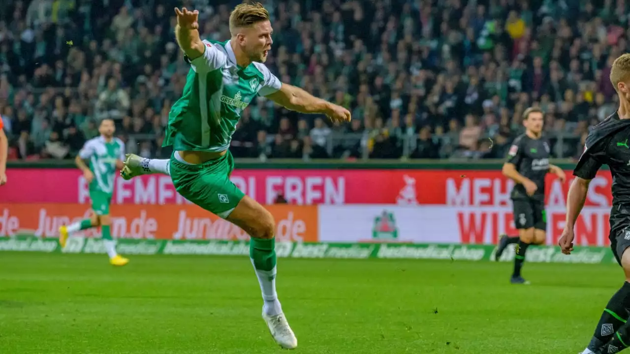 Werder Bremen: Wegen Katar: Clemens Fritz mit Schweige-Appell für Niclas Füllkrug