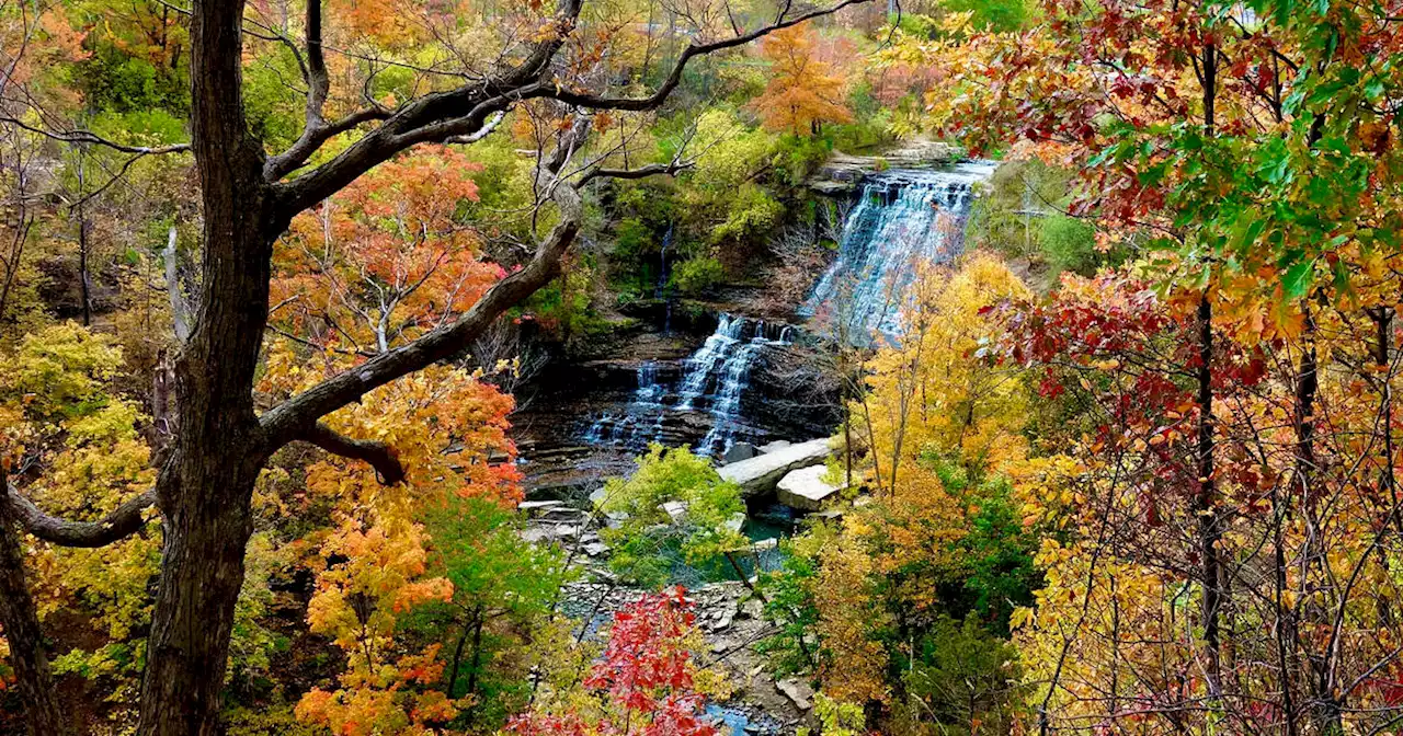 10 breathtaking lookouts for fall colours near Toronto by public transit