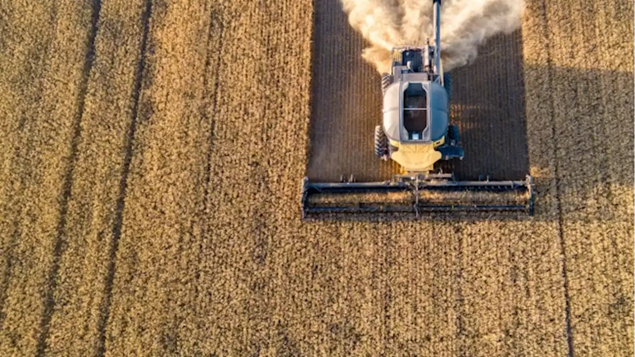 Much-needed Canada grain piles up amid rail bottleneck - BNN Bloomberg