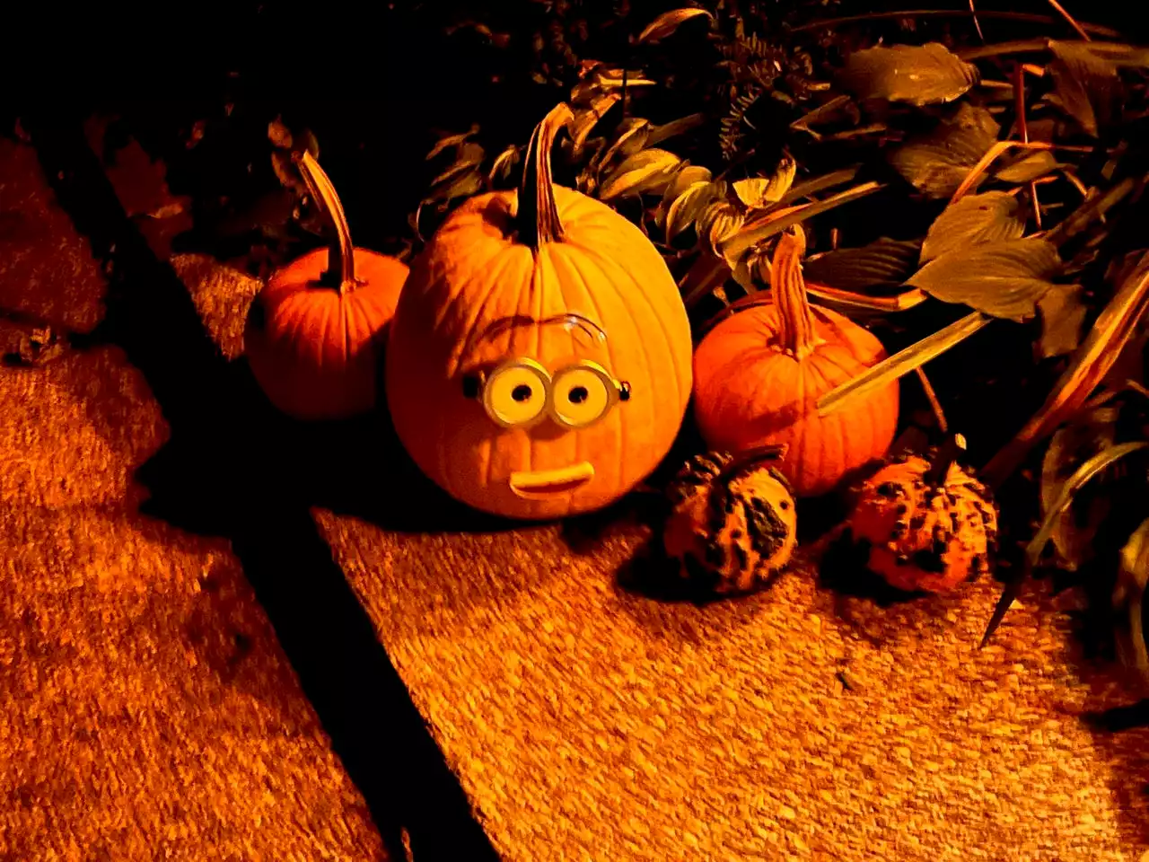 Tips to keep your jack-o-lantern grinning all season