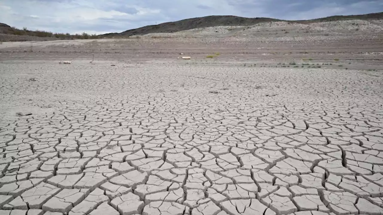 Northern Hemisphere's extreme summer drought was made 20 times more likely by climate change | CNN