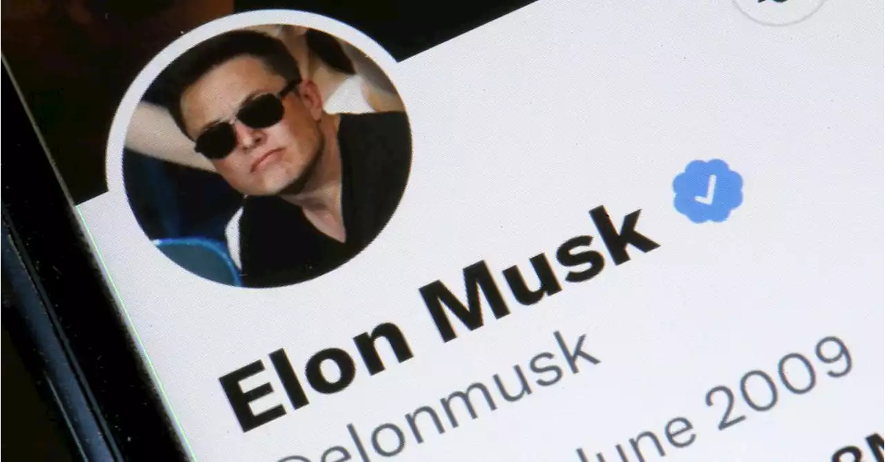 Elon Musk, Twitter and the Social-Media Double Bind