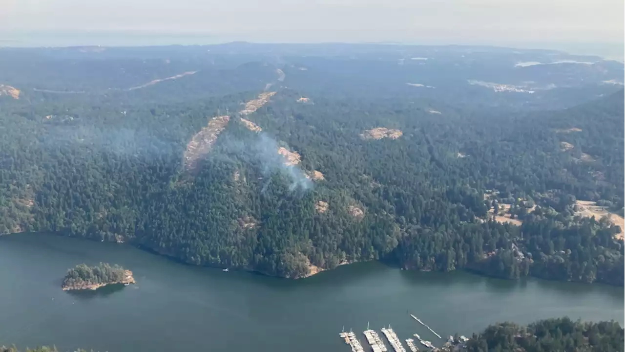 Firefighters say hotspots 'dug into the ground' at wildfire site near Victoria