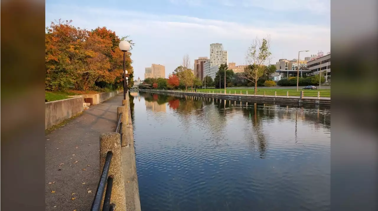 Sunny and warm on Thursday in Ottawa, cooler weather on the way