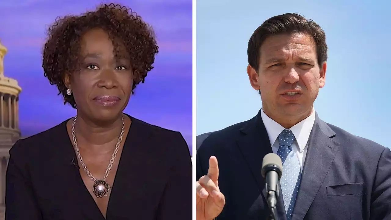 DeSantis team embarrasses Joy Reid by revealing it rejected her email looking to 'touch base' with governor