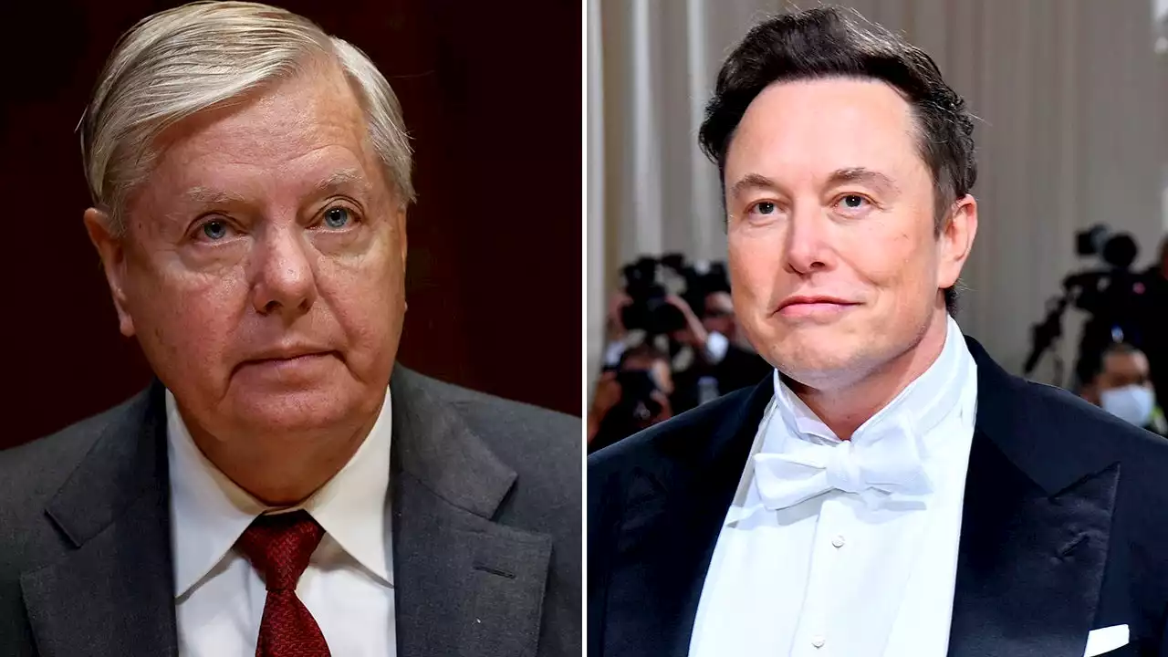 Elon Musk, Lindsey Graham feud over US handling of Ukraine-Russia War, referendum elections