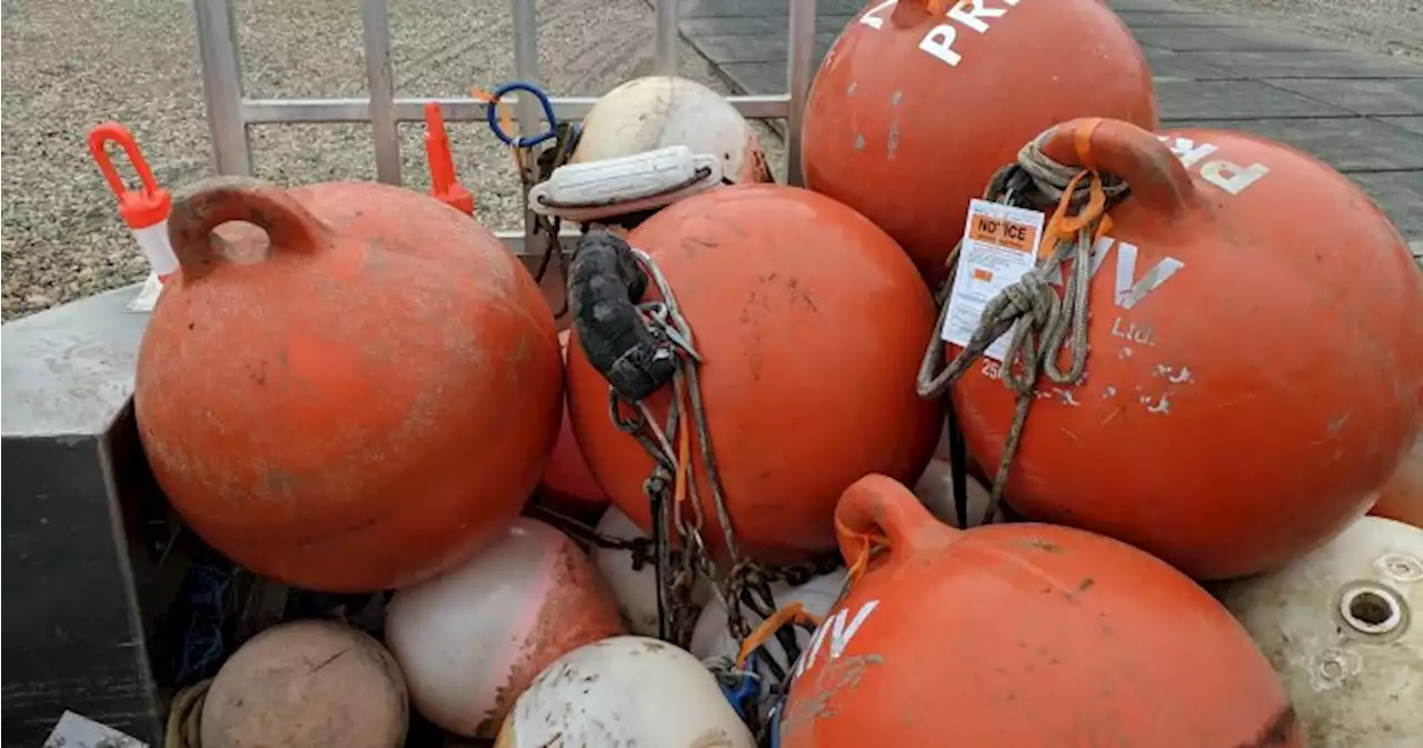 Transport Canada, regional district target illegal buoys on Shuswap Lake, Mara Lake - Okanagan | Globalnews.ca