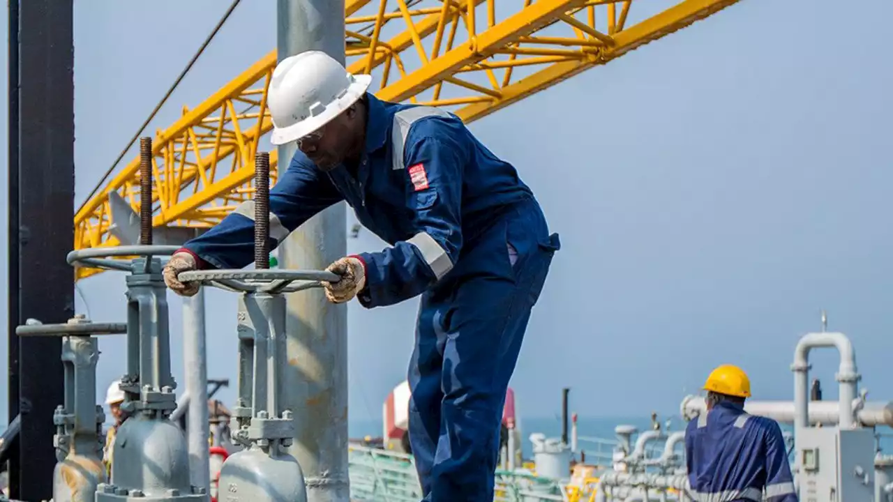 Nigeria to maintain quota as OPEC+ slashes crude output target by 2mbpd | The Guardian Nigeria News - Nigeria and World News