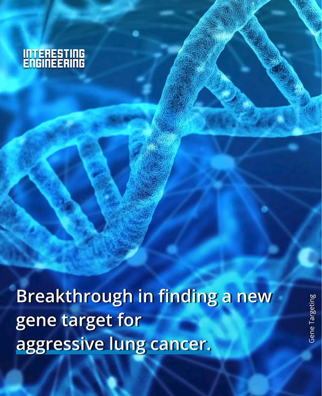 A new gene target for aggressive lung cancer could save lives by creating better treatments