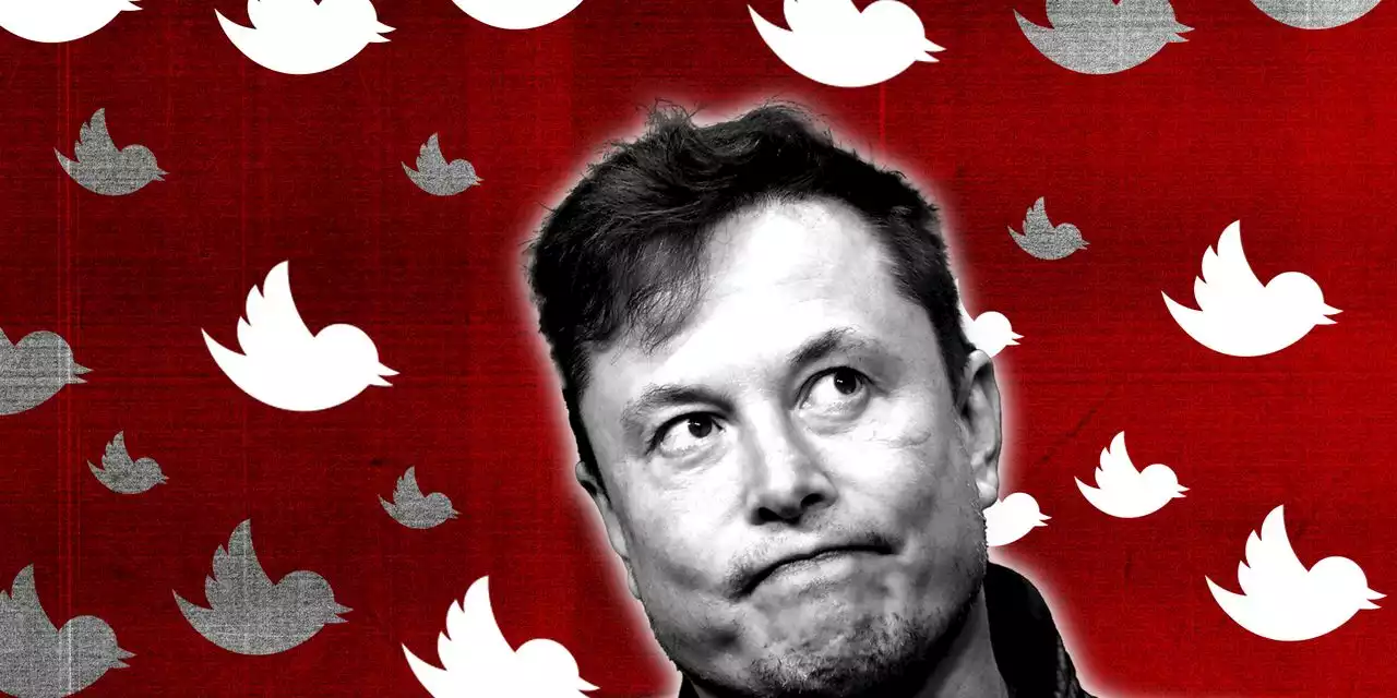 Elon Musk grabs Twitter, but how will he manage his growing empire?