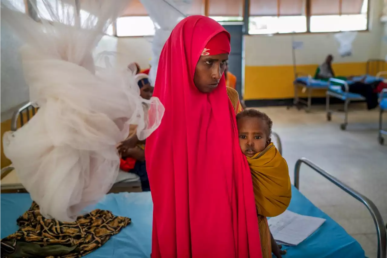 Drought brings famine, death and fear to Somalia