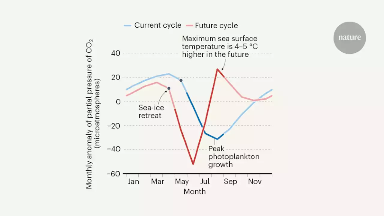 Seasonal peak in Arctic Ocean acidity could shift to the summer