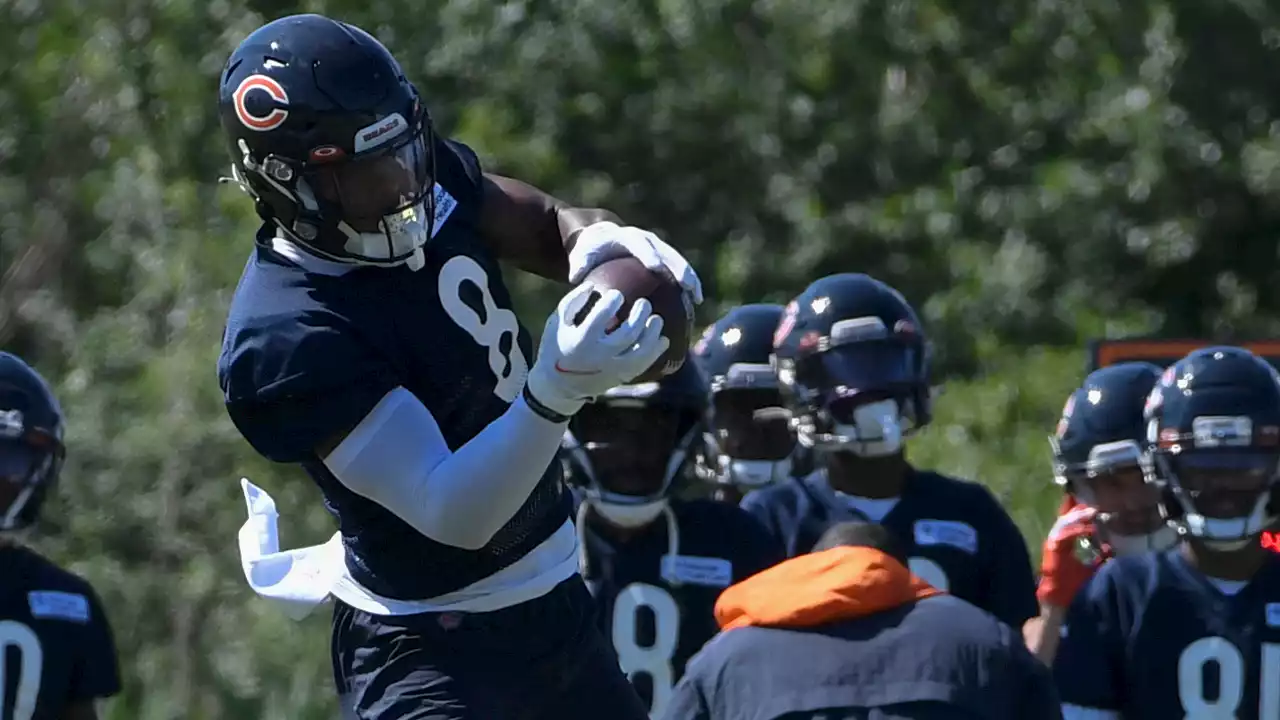 Can ‘Unique' Weapon N'Keal Harry Boost Bears' Struggling Pass Attack?