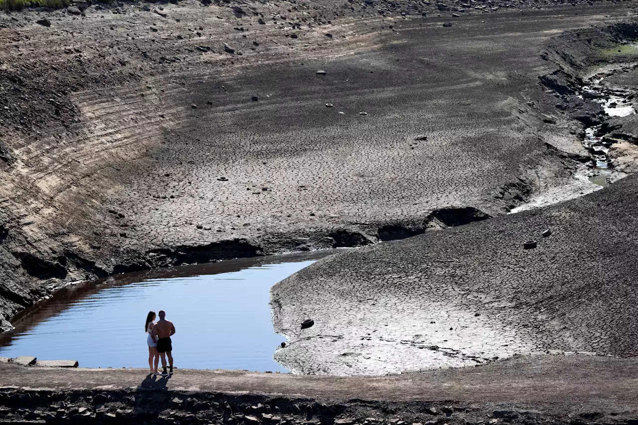 Climate Change Made Summer Drought in 3 Continents 20 Times More Likely: Study