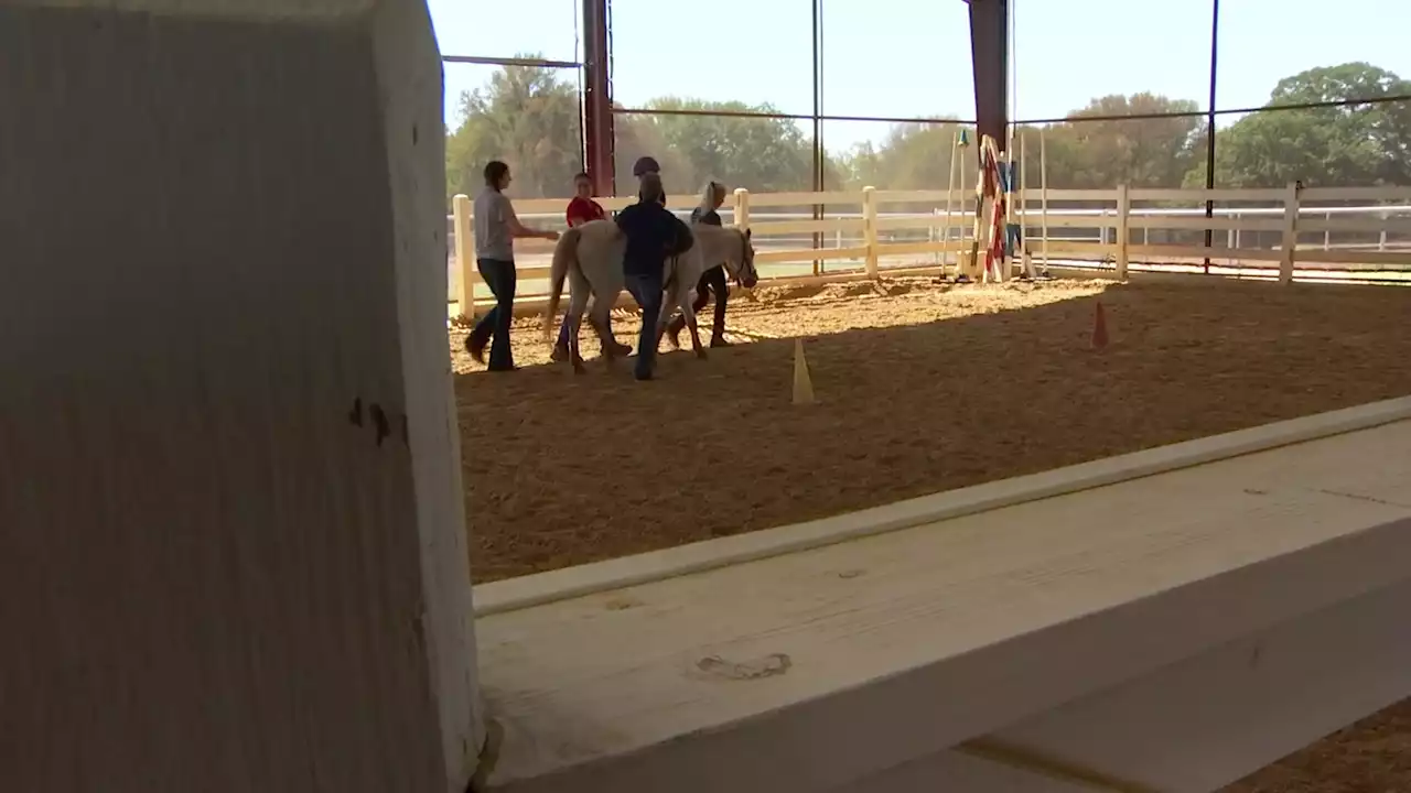 North Texas Horse Therapy Center Set to Hold Fundraiser