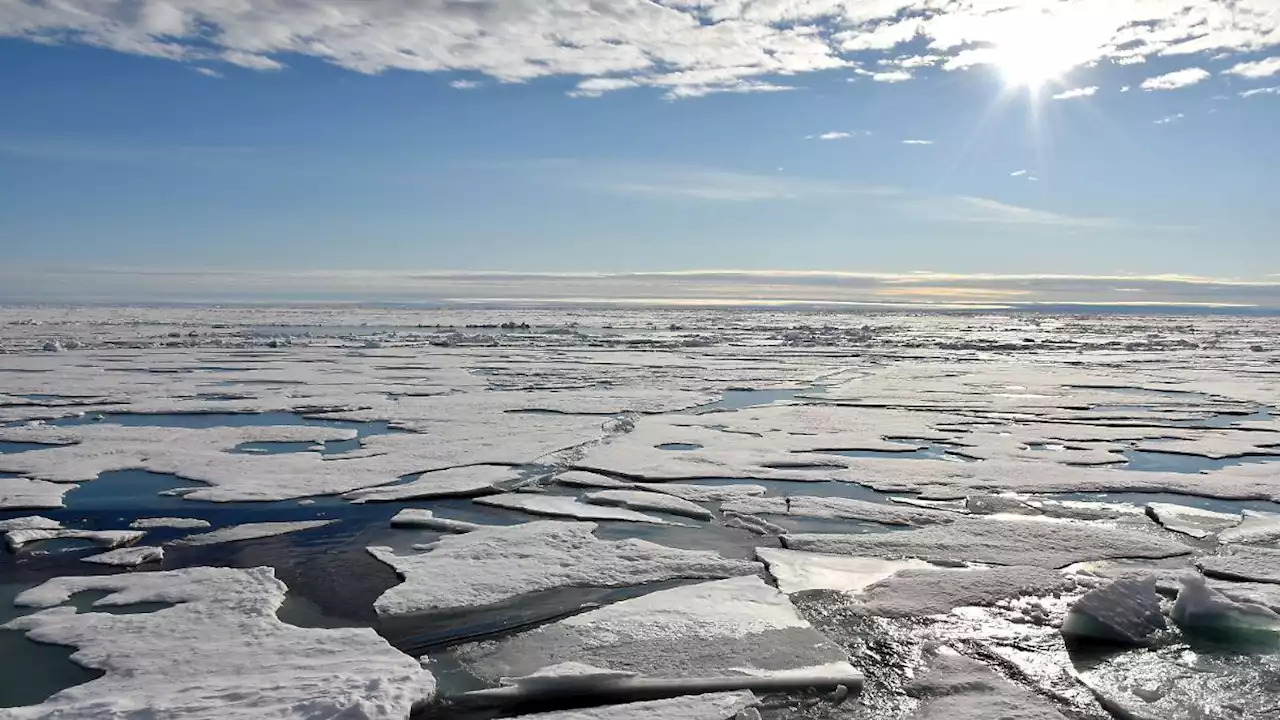 Nordpolarmeer könnte im Sommer saurer werden