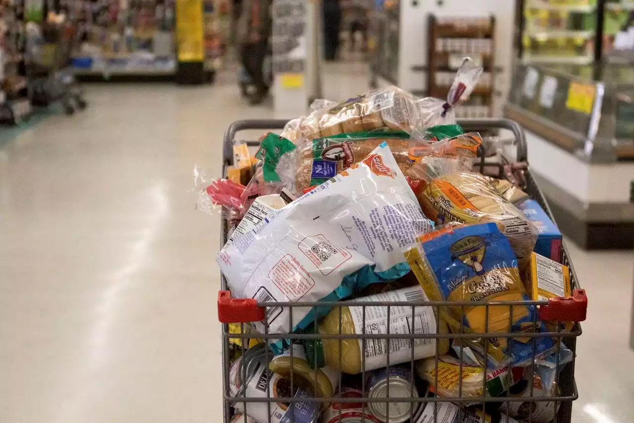 ShopRite shopper went flying over cart after wheels locked, lawsuit says