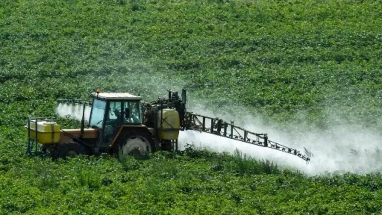 Pesticides: des ONG et des députés menacent l'État de poursuites