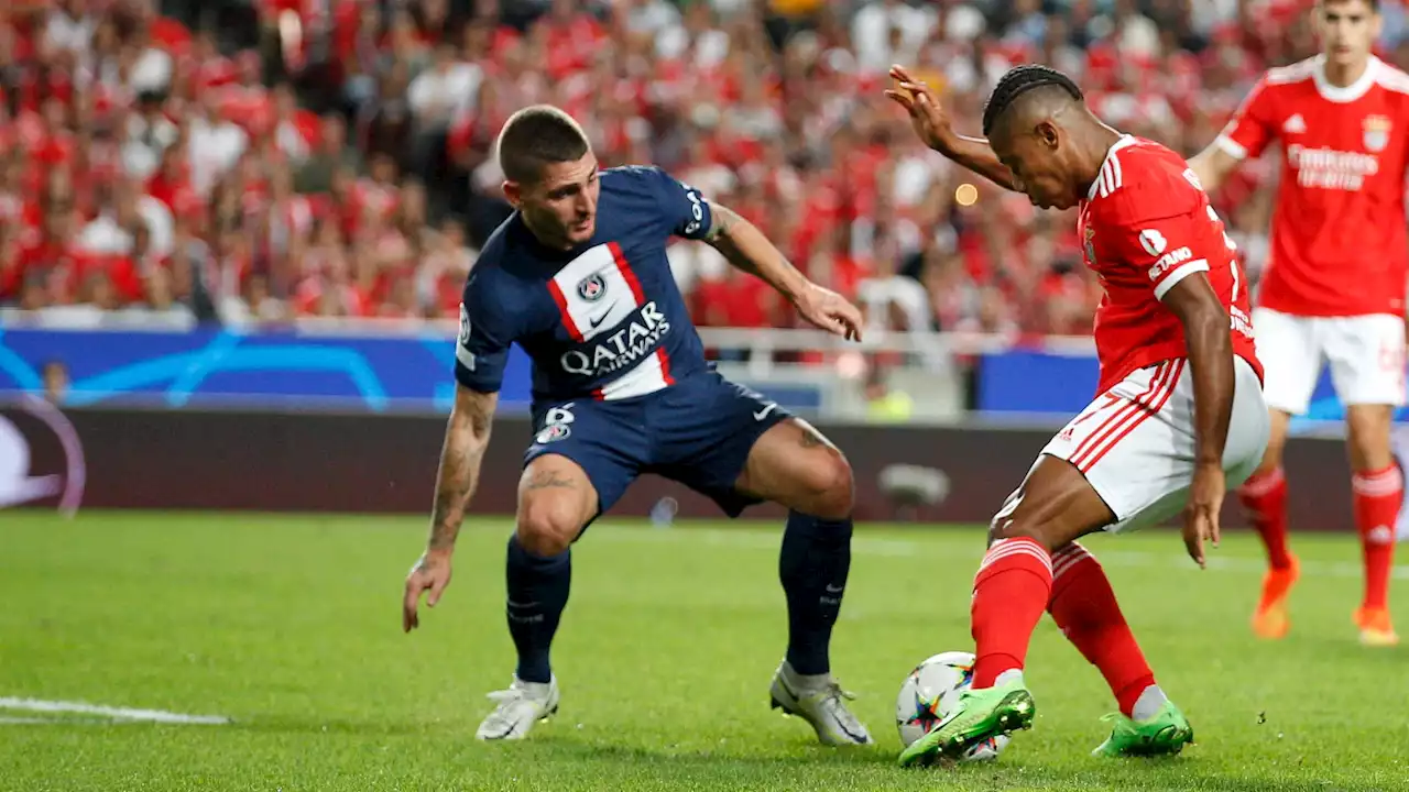 Benfica-PSG: 'Je ne comprends plus rien au foot', s'indigne Verratti après la semelle de Fernandez