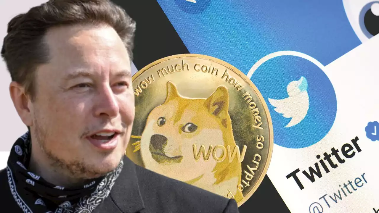 Elon Musk อาจทำให้การชำระเงินด้วย Crypto บน Twitter เป็นฝันที่กลายเป็นจริงในไม่ช้า