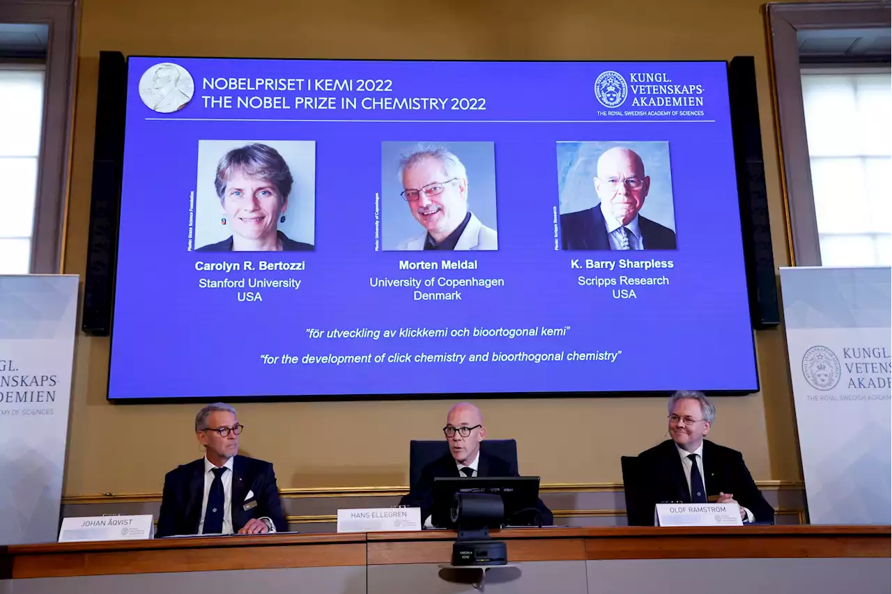 Nobel Prize for 3 Chemists Who Made Molecules 'Click'