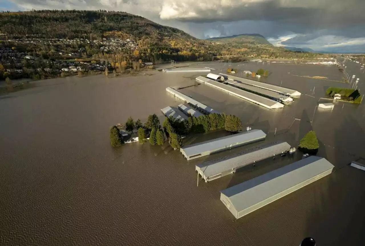 B.C.’s Ombudsperson wants to hear from people impacted by 2021 floods, wildfires – Terrace Standard