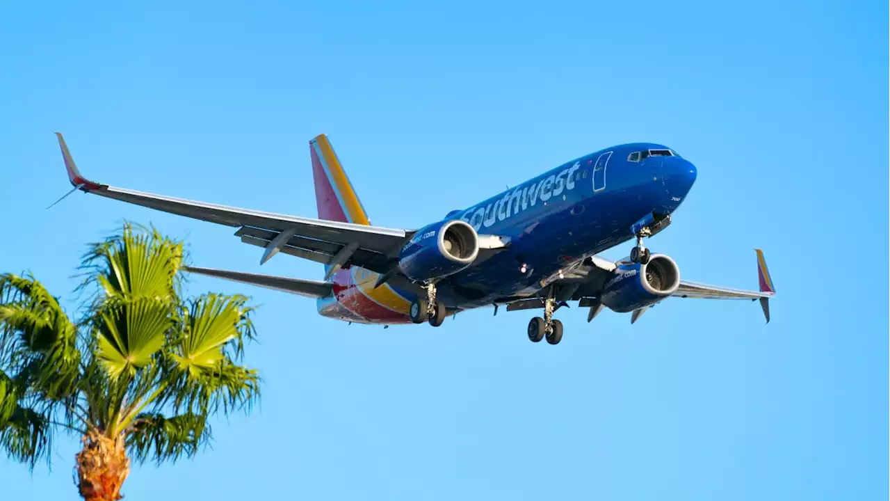 Southwest Pilot Stripped Off and Watched Porn Mid-Flight, Co-Pilot’s Lawsuit Says