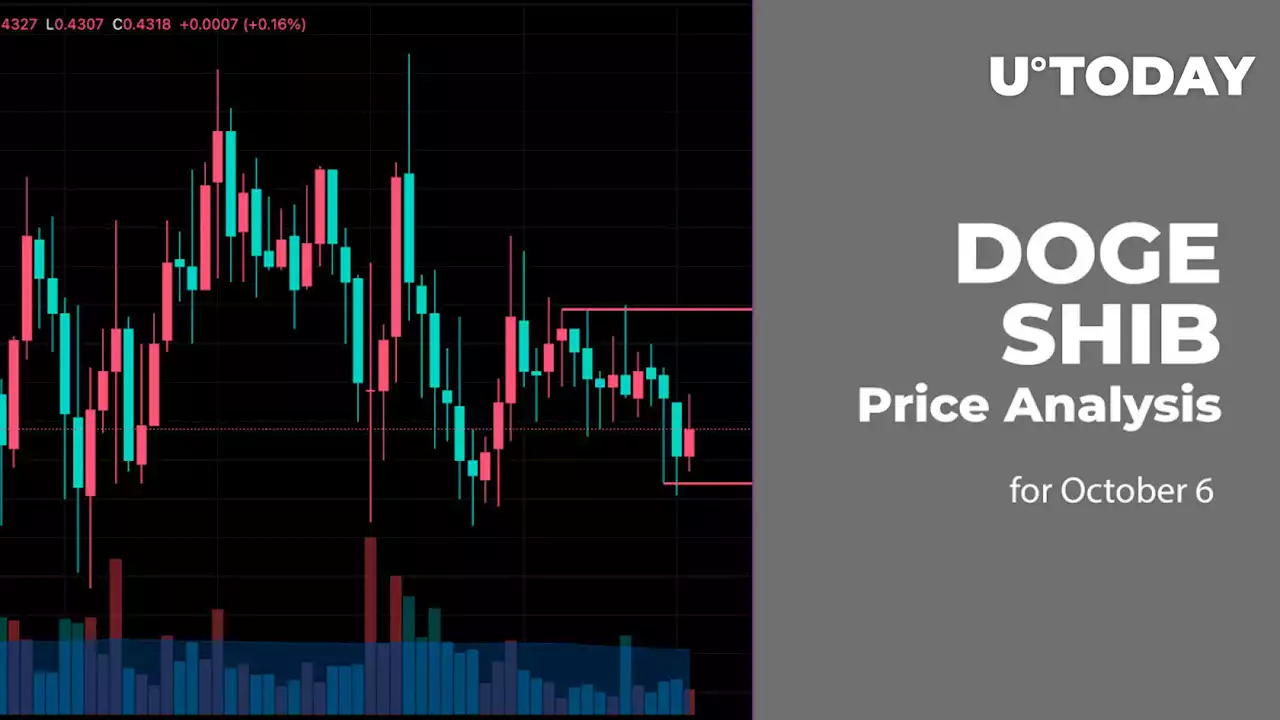 DOGE and SHIB Price Analysis for October 6